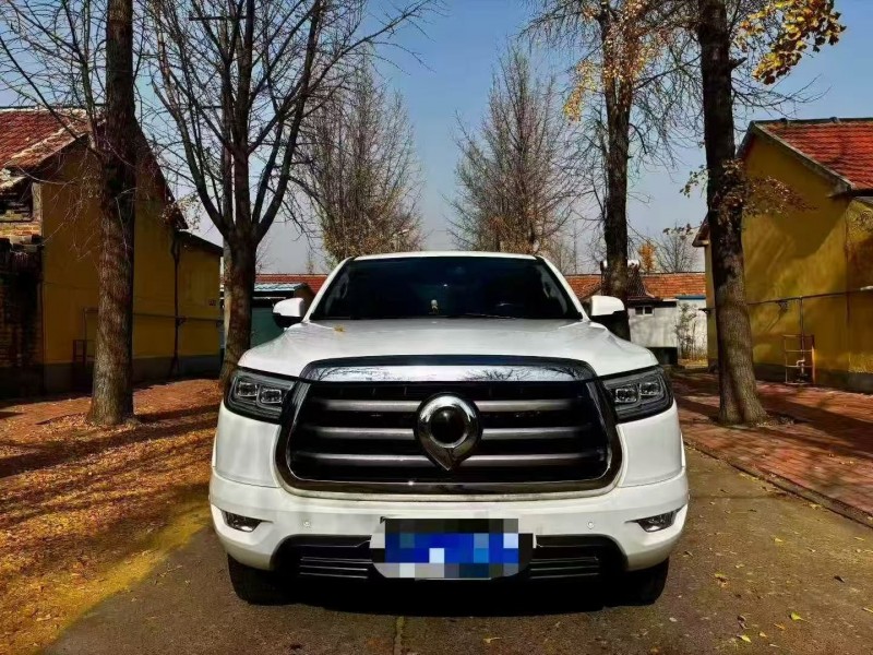 济宁23年长城汽车炮 皮卡1