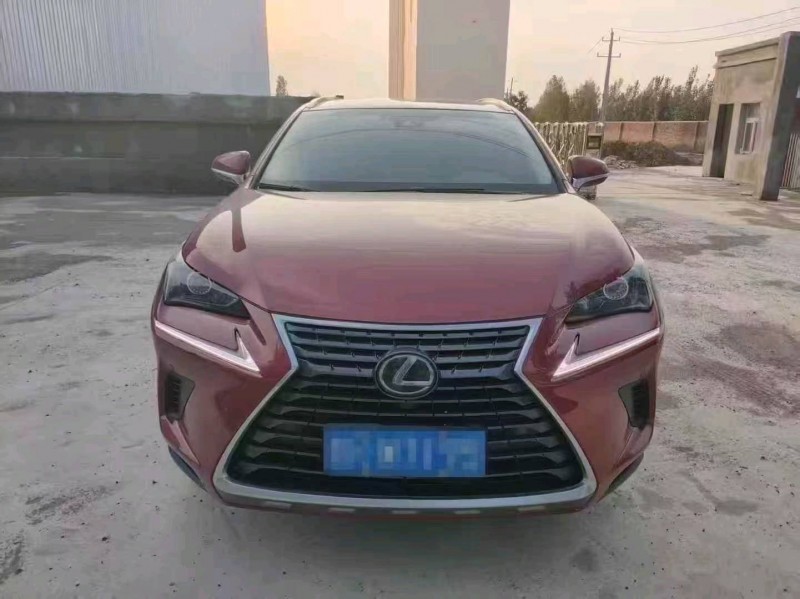 菏泽18年雷克萨斯NX1