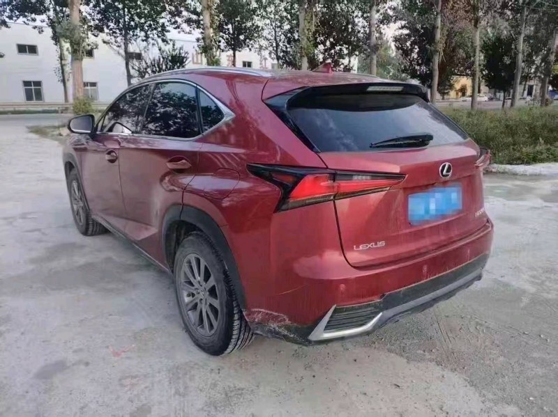 菏泽18年雷克萨斯NX6