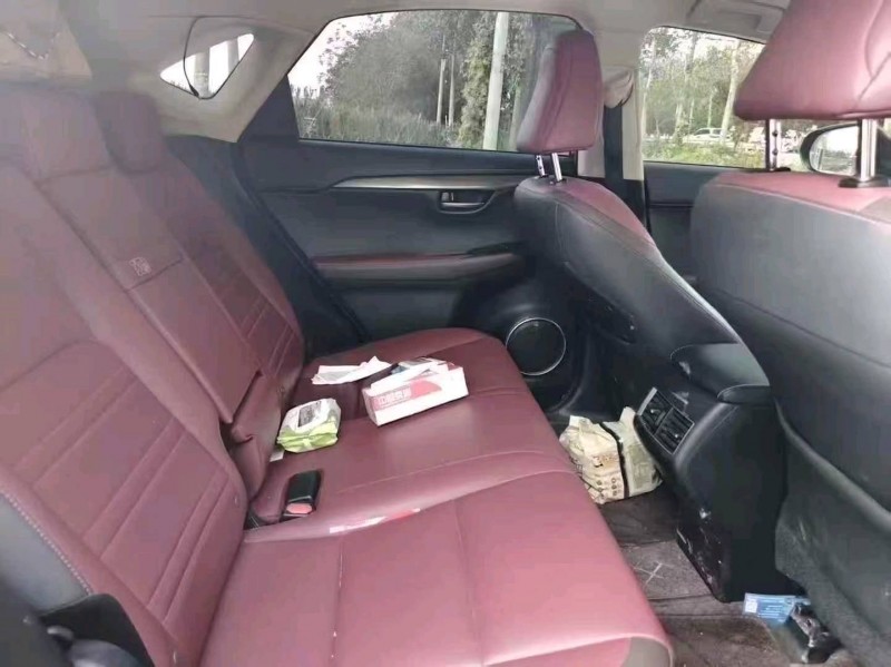 菏泽18年雷克萨斯NX9