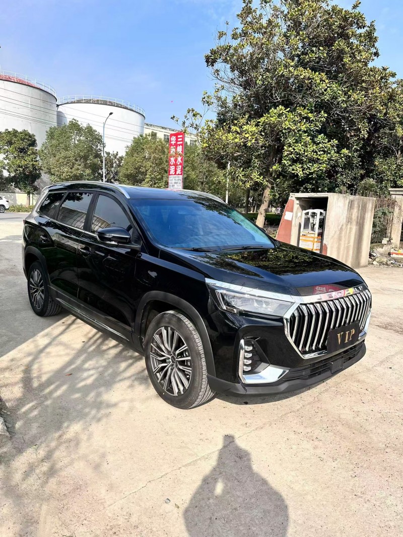 襄阳25年奇瑞捷途2