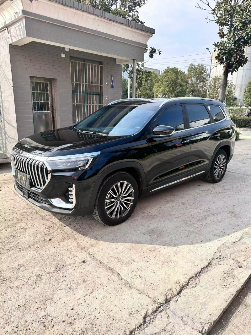 襄阳25年奇瑞捷途3