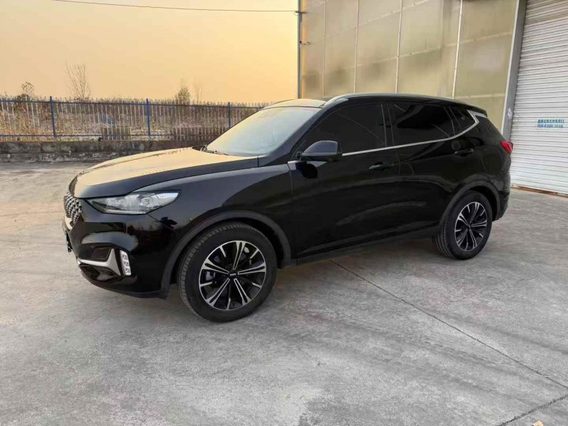 徐州20年长城汽车魏牌2