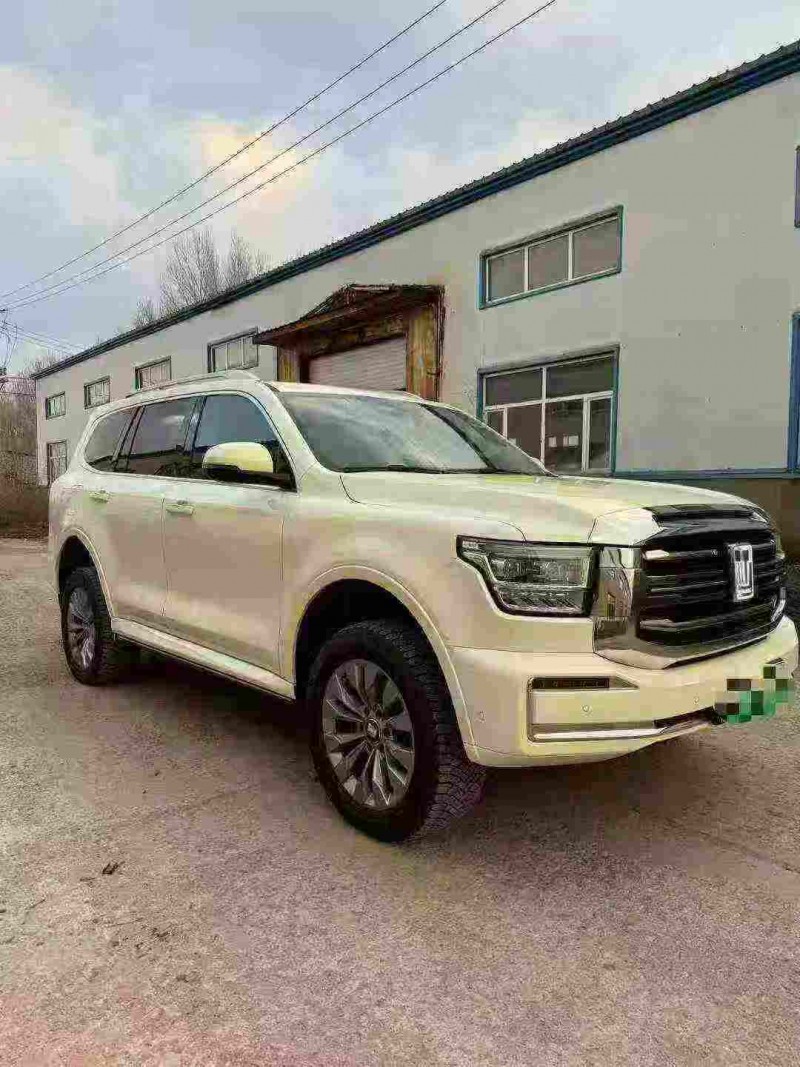 哈尔滨24年长城汽车坦克3