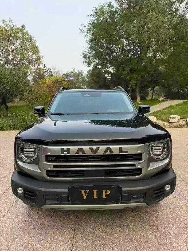 邢台23年哈弗大狗1