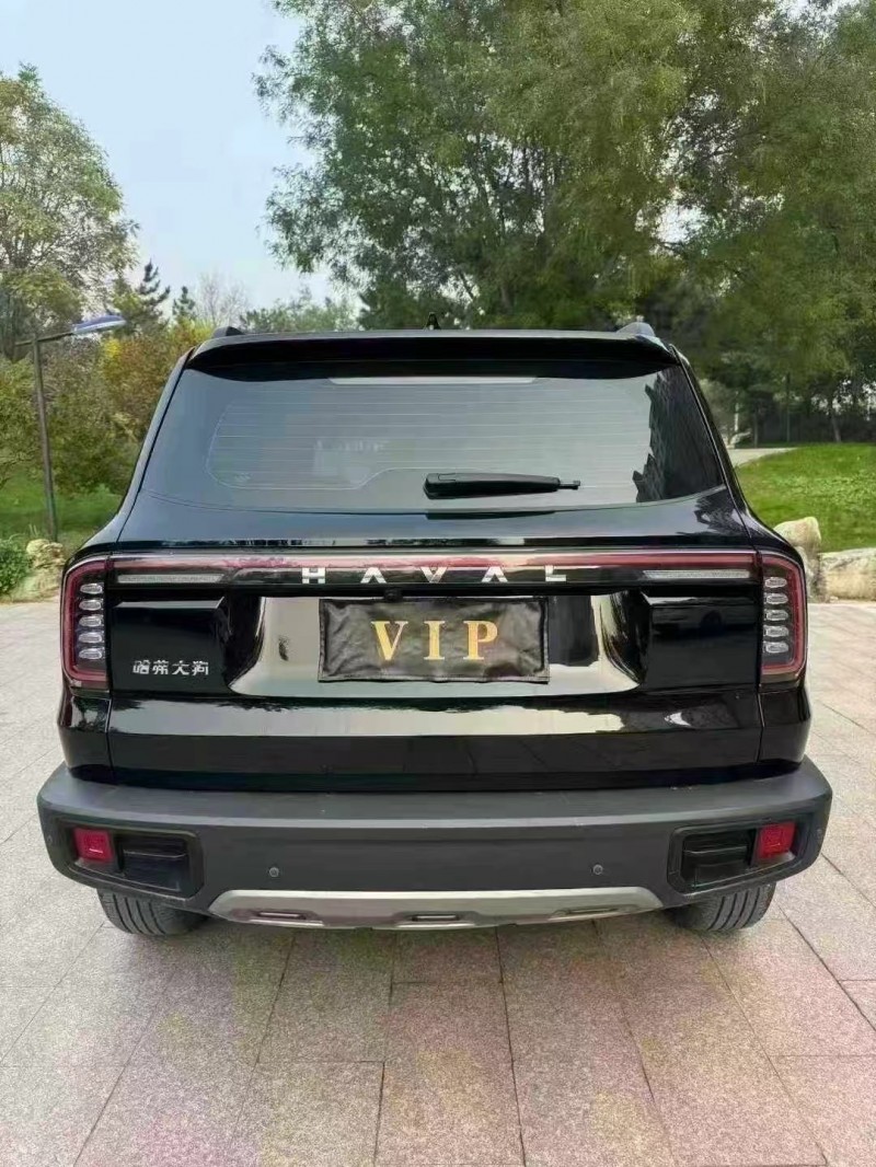 邢台23年哈弗大狗9