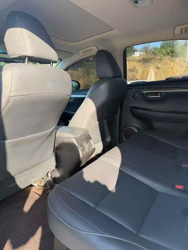 常德16年雷克萨斯NX6