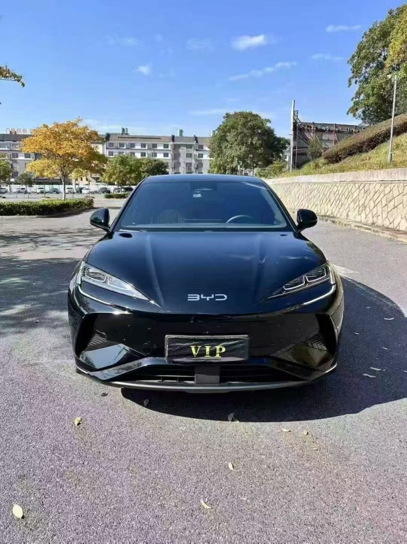 常州24年比亚迪海狮1