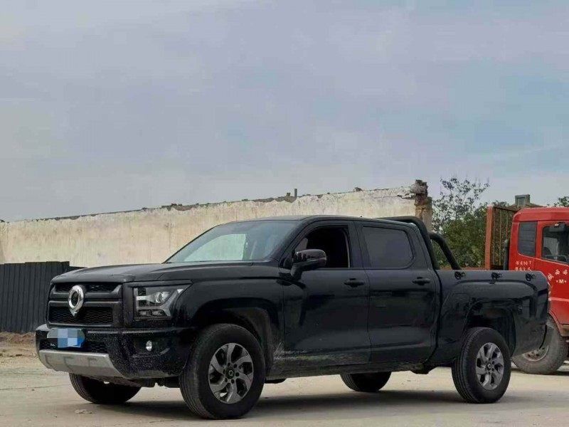 重庆24年长城汽车炮 皮卡2