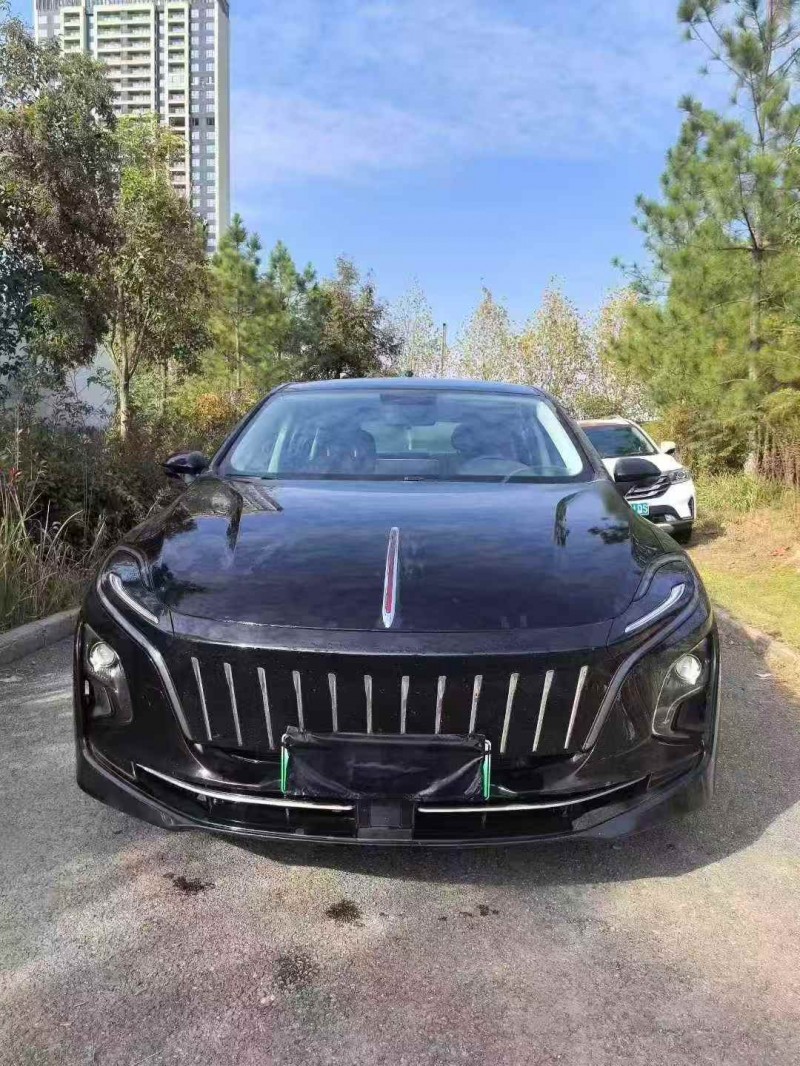 荆州24年红旗E-QM51