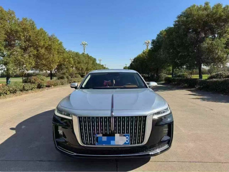 徐州22年红旗H91