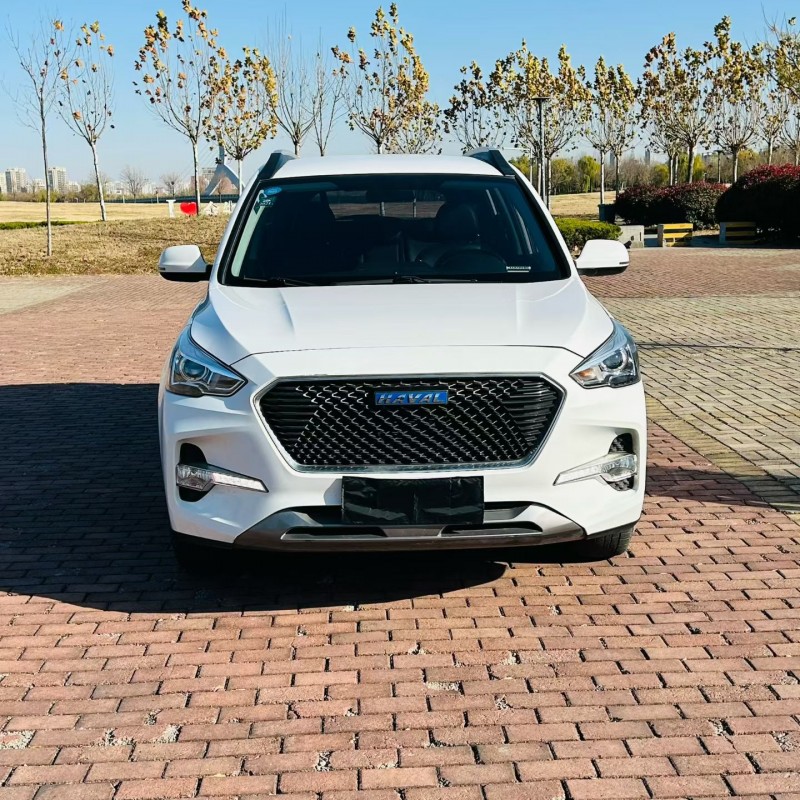 聊城19年哈弗M61