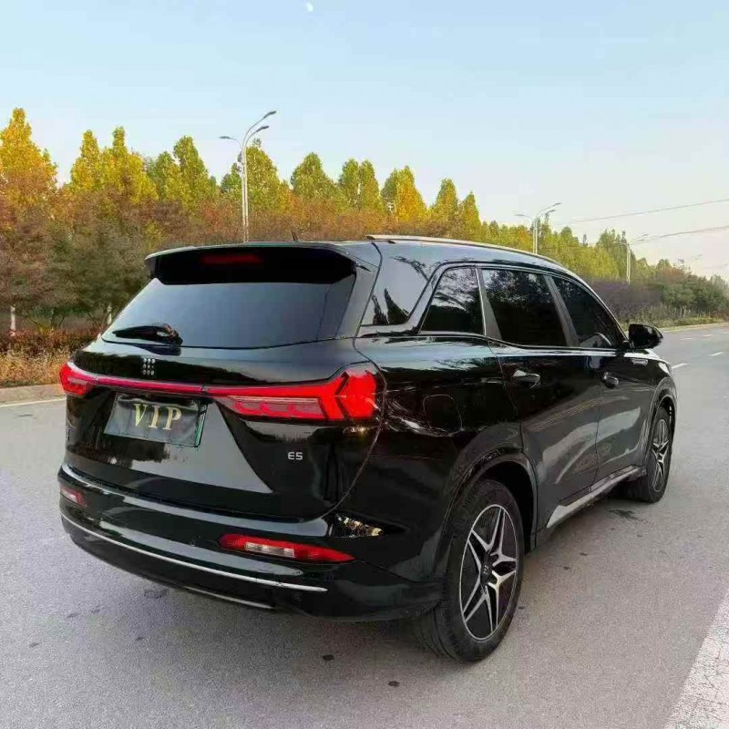 淄博24年东风蓝电E58