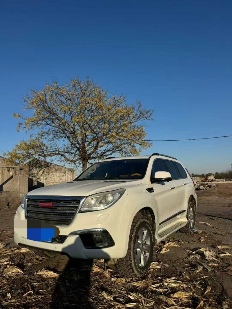 鹤壁16年哈弗H94