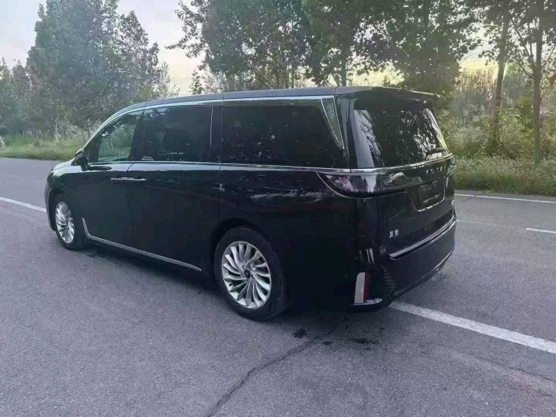 聊城23年岚图汽车梦想家5