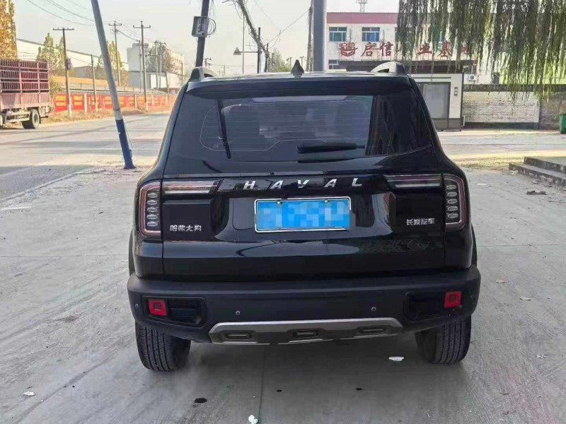 保定21年哈弗大狗9