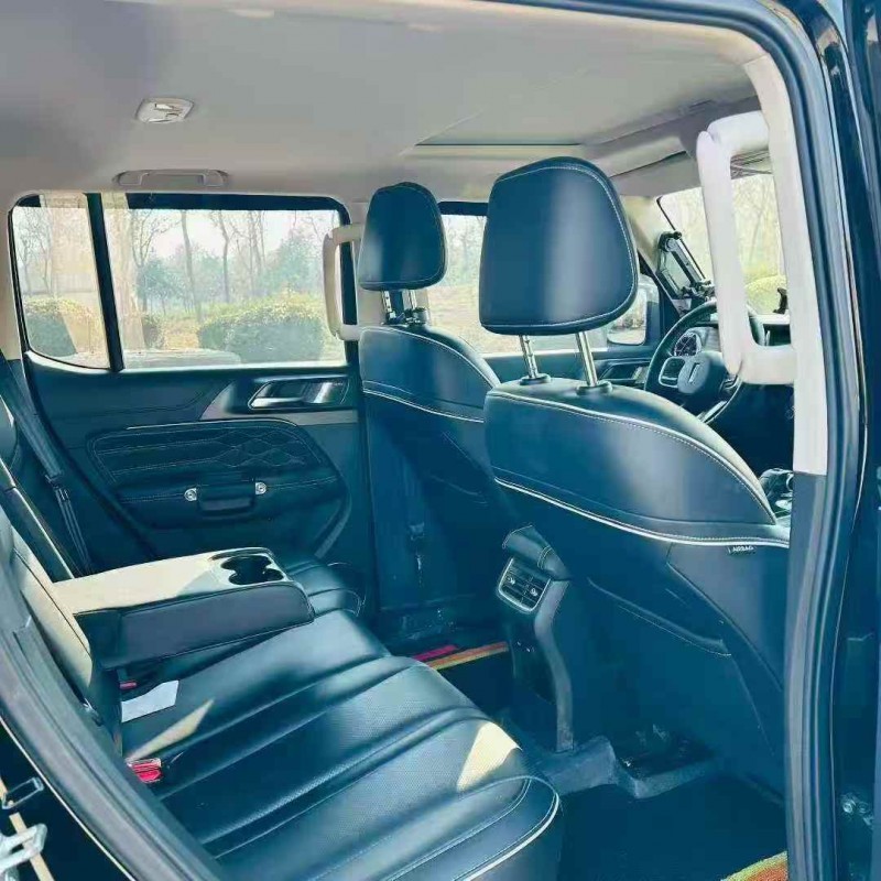 淄博21年长城汽车坦克6