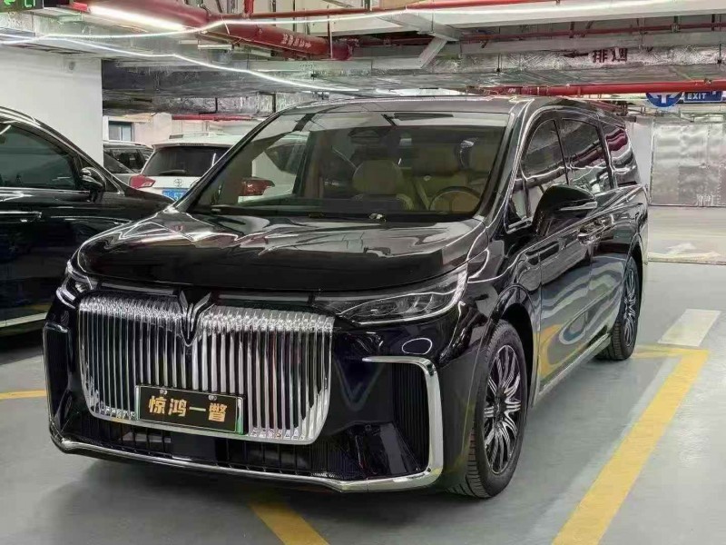 珠海25年岚图汽车梦想家2