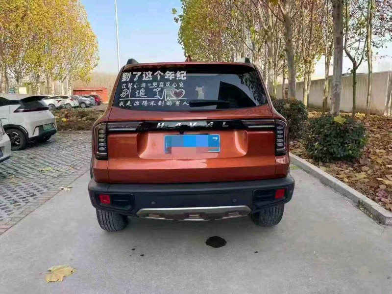 枣庄21年哈弗大狗9