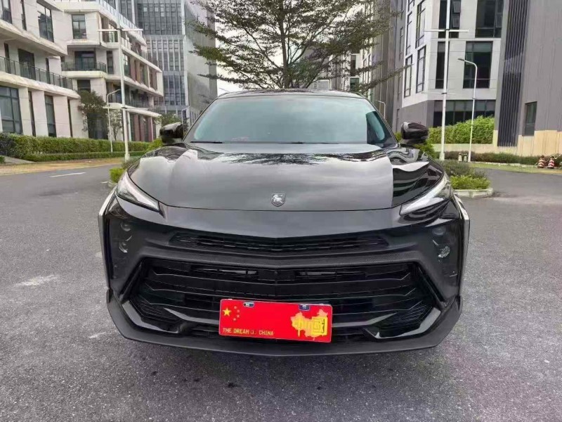 广州24年东风风行1