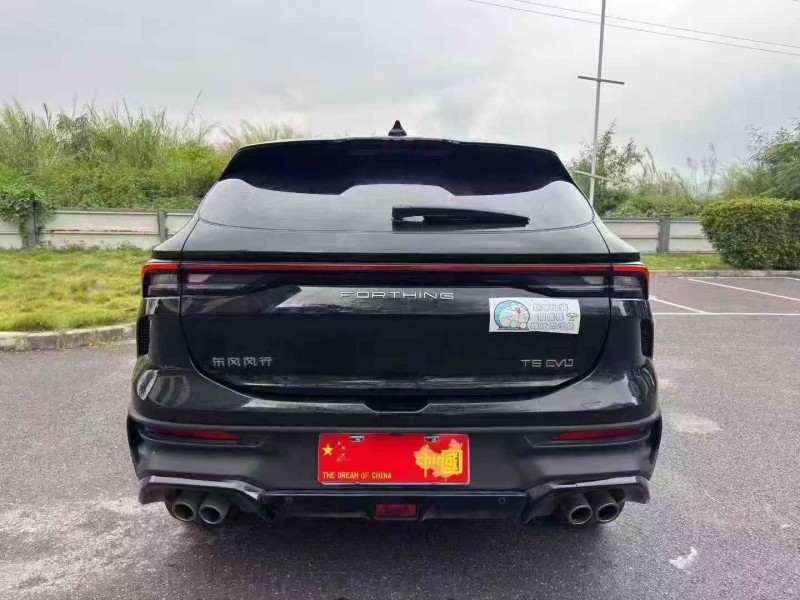 广州24年东风风行8