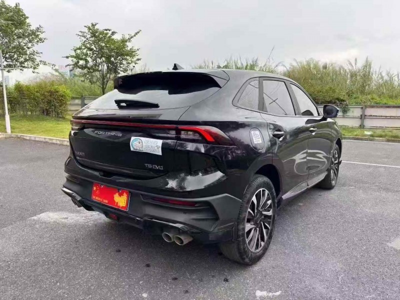 广州24年东风风行9