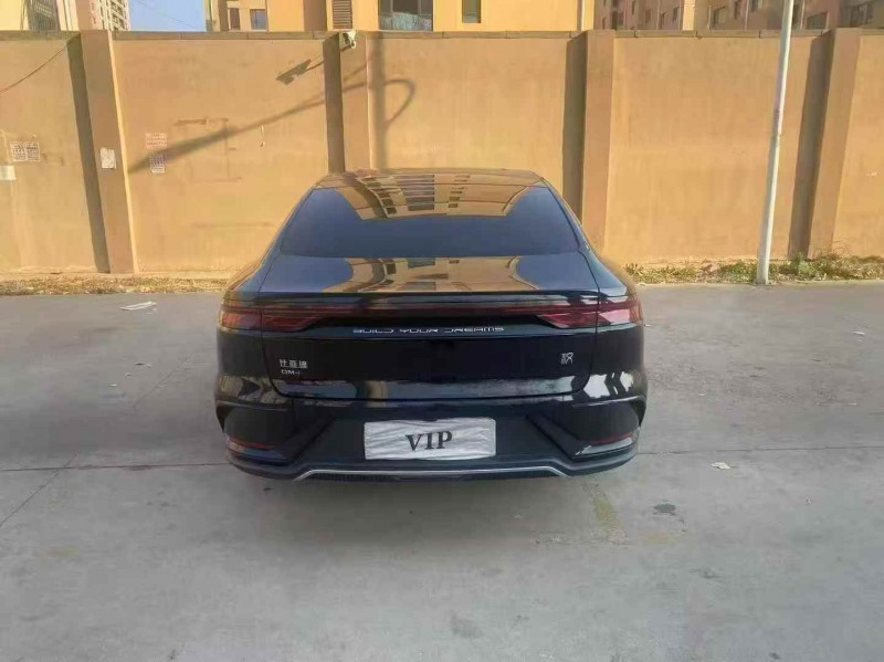 东营20年比亚迪汉DM9