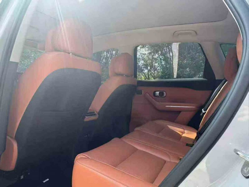 珠海24年零跑汽车C104