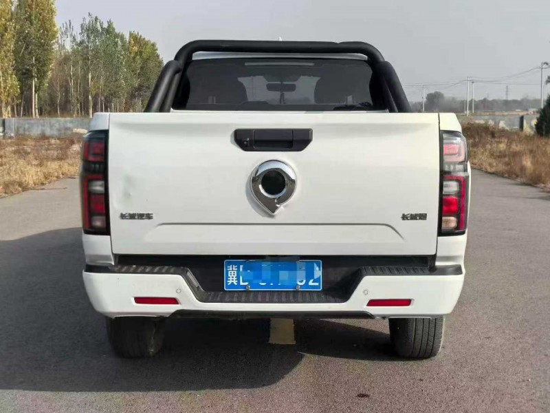 宜昌23年长城汽车炮 皮卡9