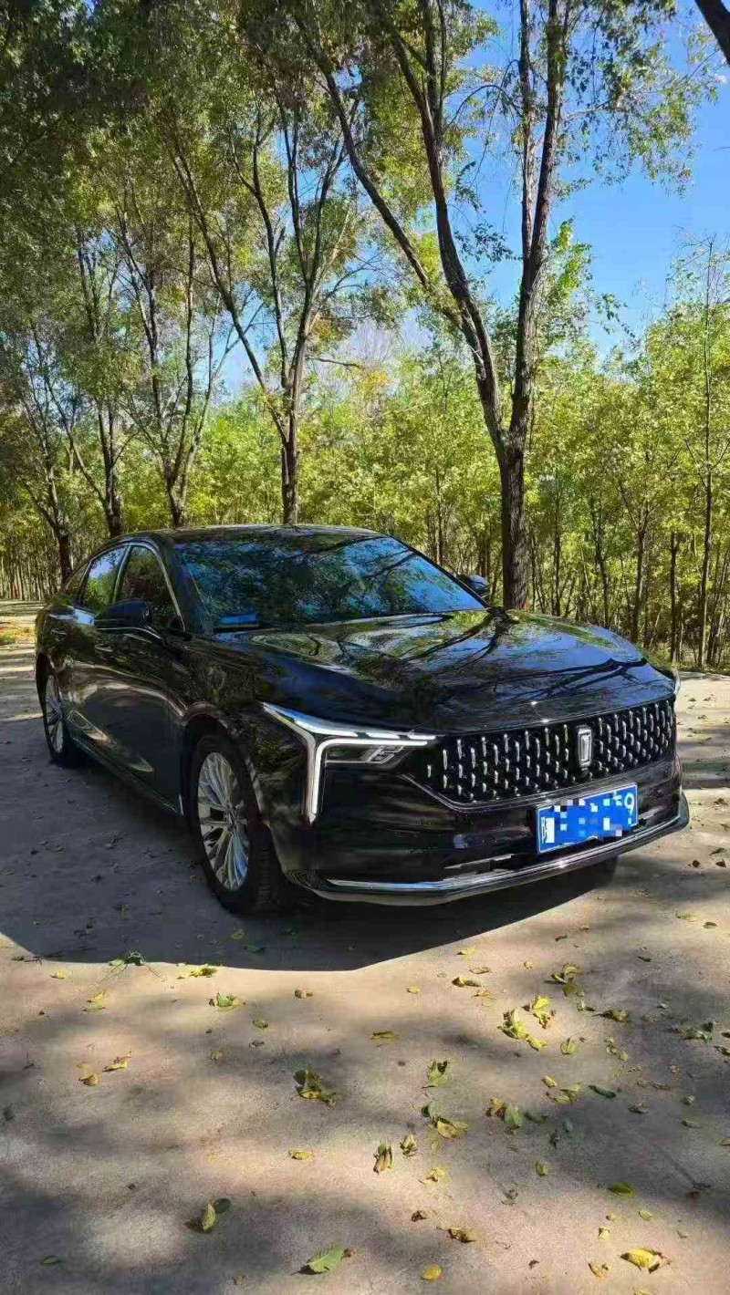 长治24年奔腾B703