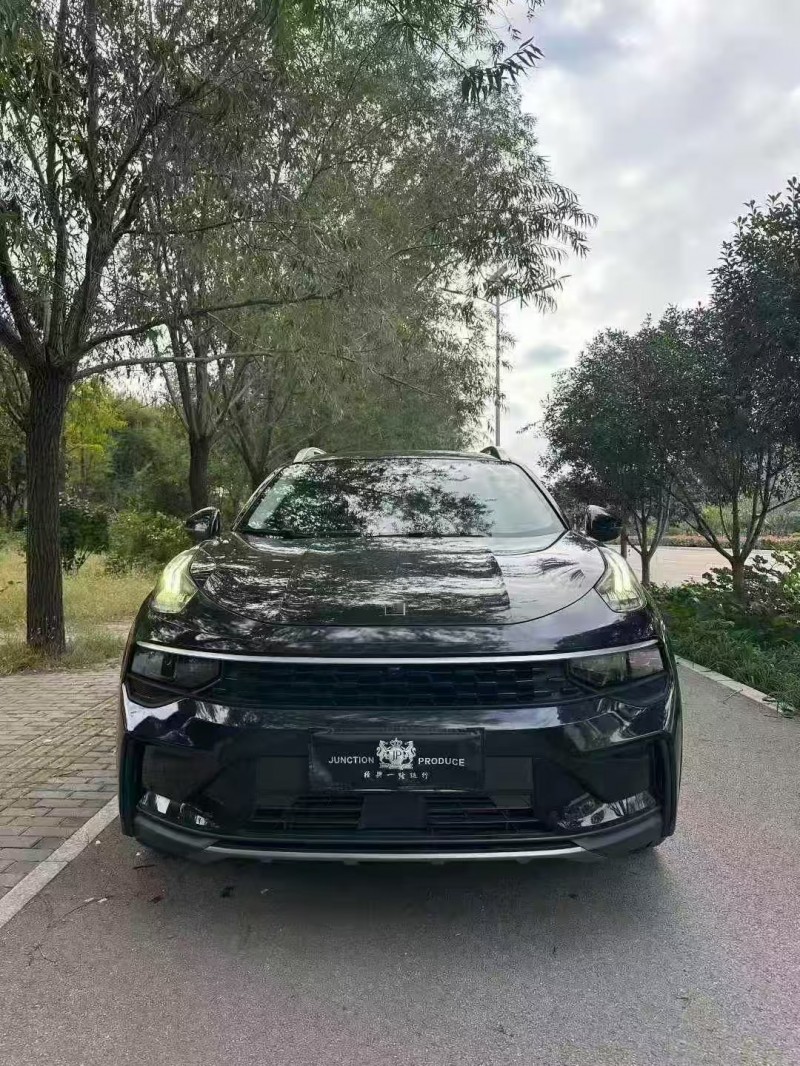 枣庄21年领克011