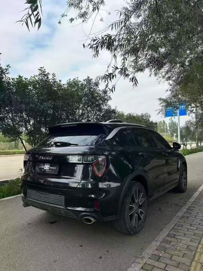 枣庄21年领克018