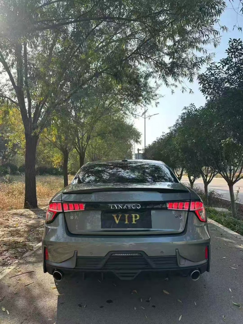 枣庄22年领克039