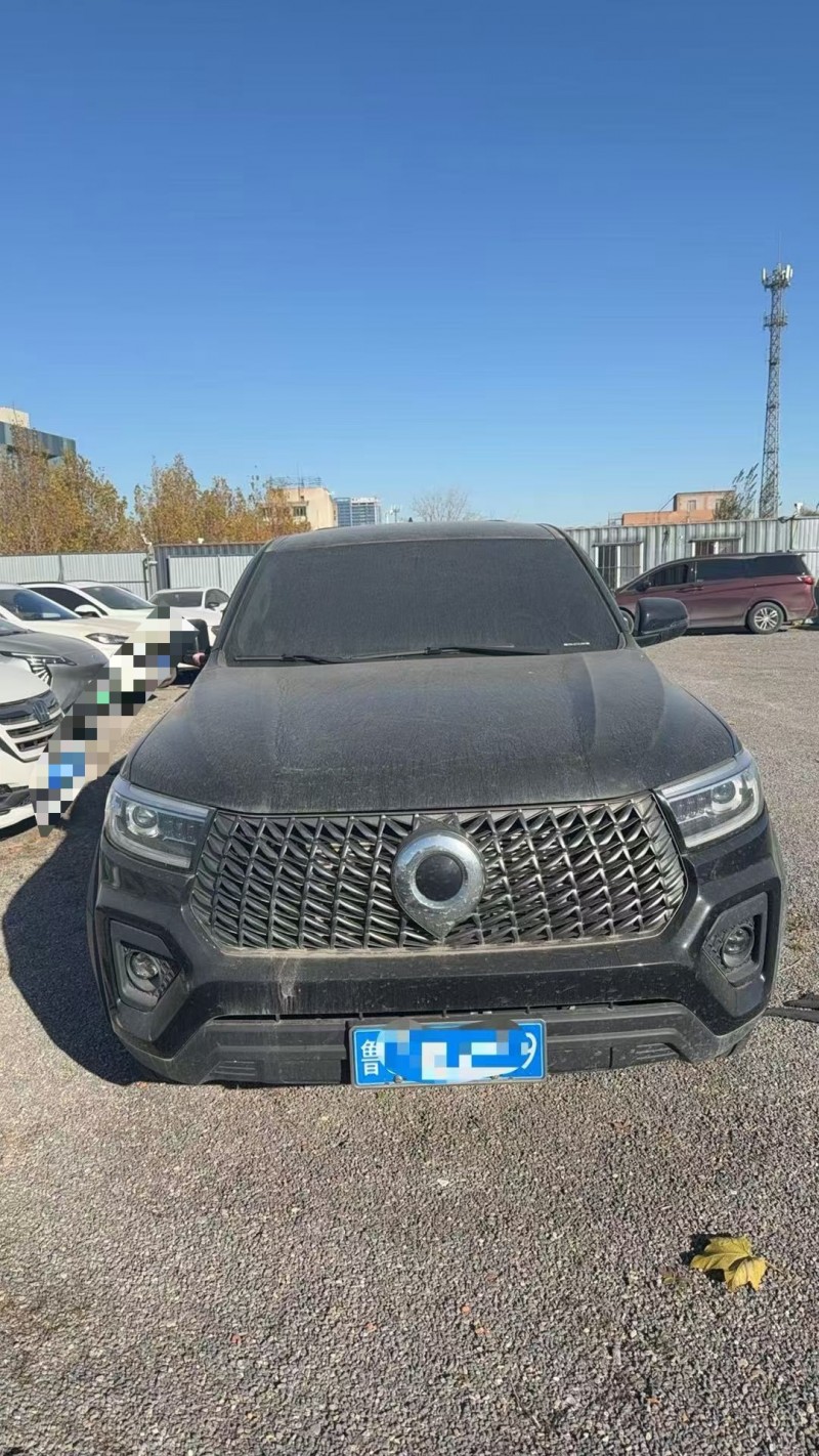 淄博24年长城汽车炮 皮卡1