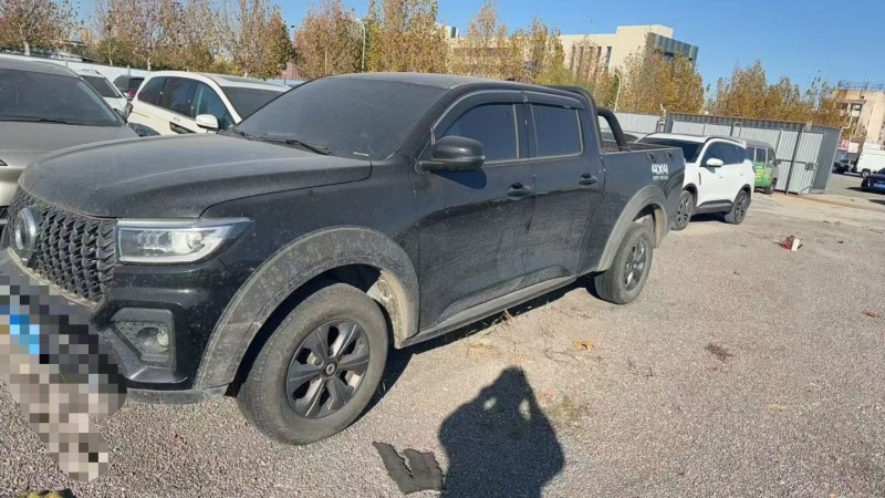 淄博24年长城汽车炮 皮卡3