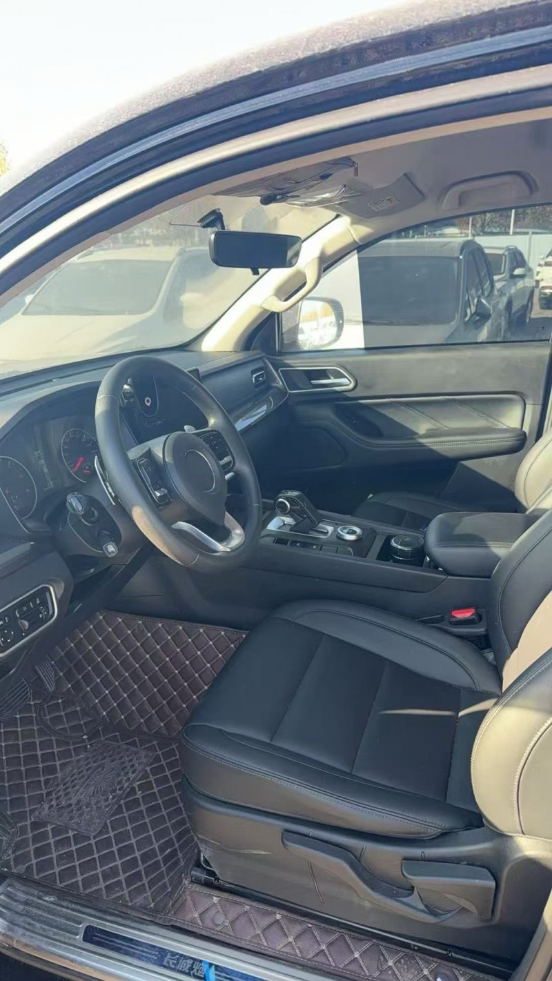 淄博24年长城汽车炮 皮卡4