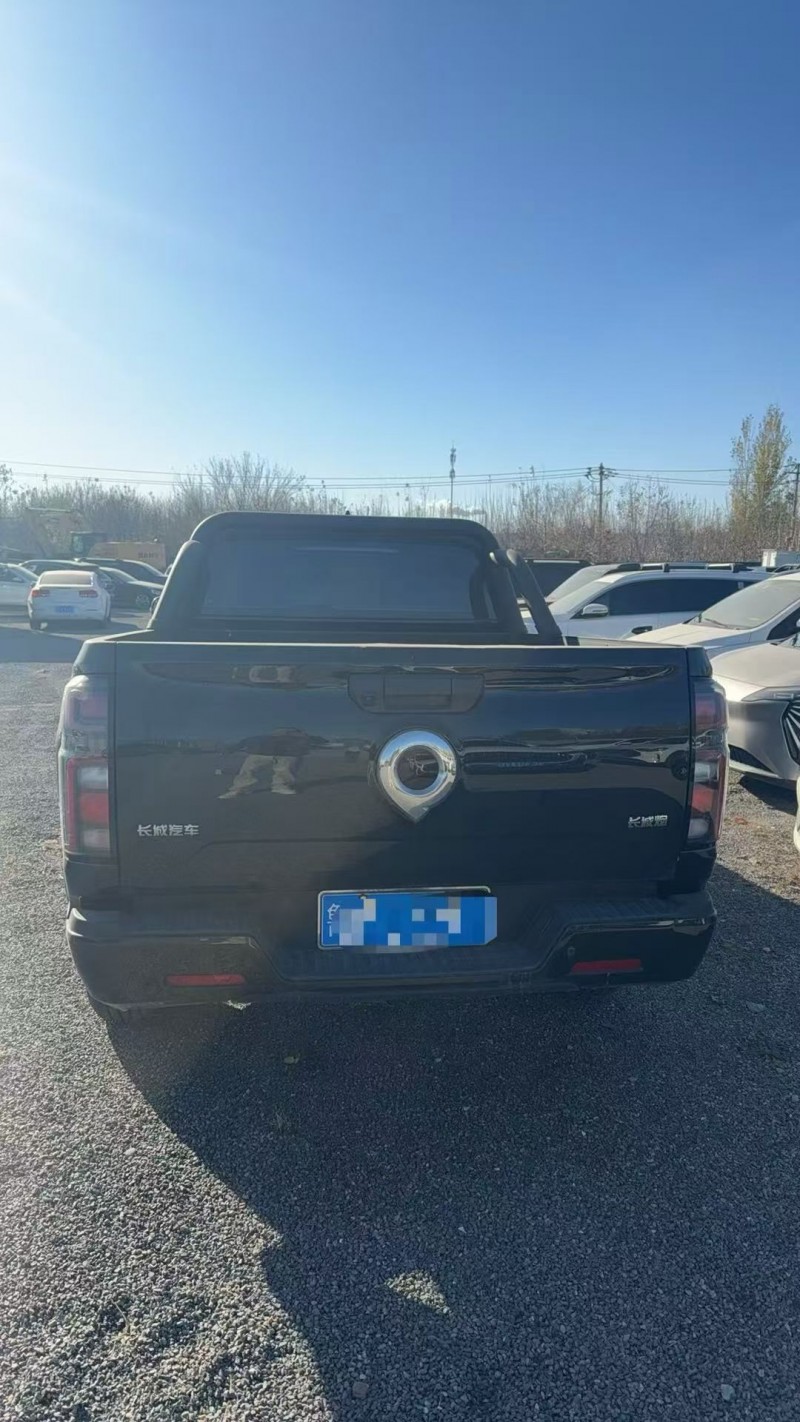 淄博24年长城汽车炮 皮卡5