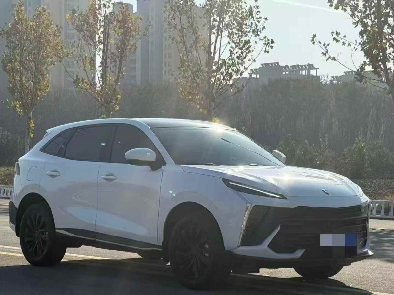 渭南24年东风风行2