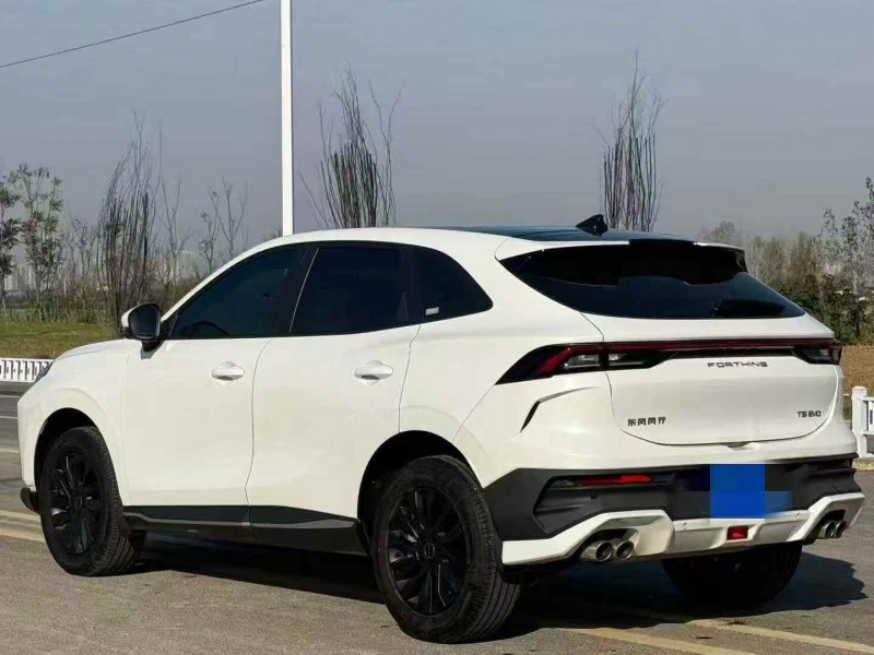 渭南24年东风风行7