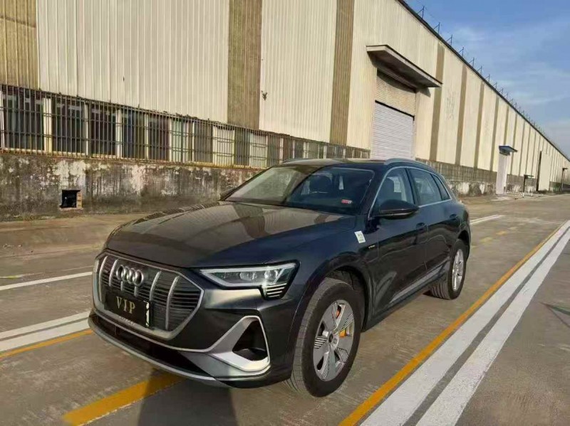 菏泽25年奥迪E-tron纯电2