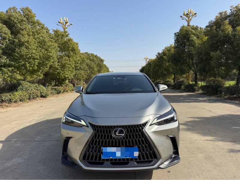 盐城23年雷克萨斯NX1