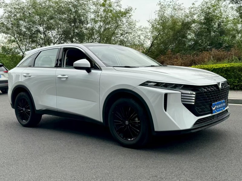 东莞23年启辰大V3