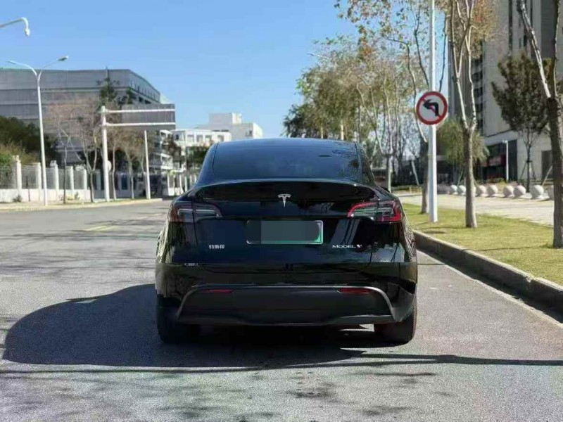 十堰24年特斯拉MODEL Y9
