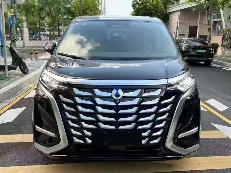 广州25年腾势D91