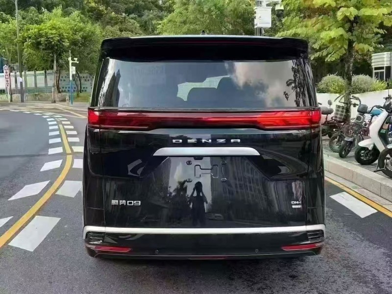 广州25年腾势D99