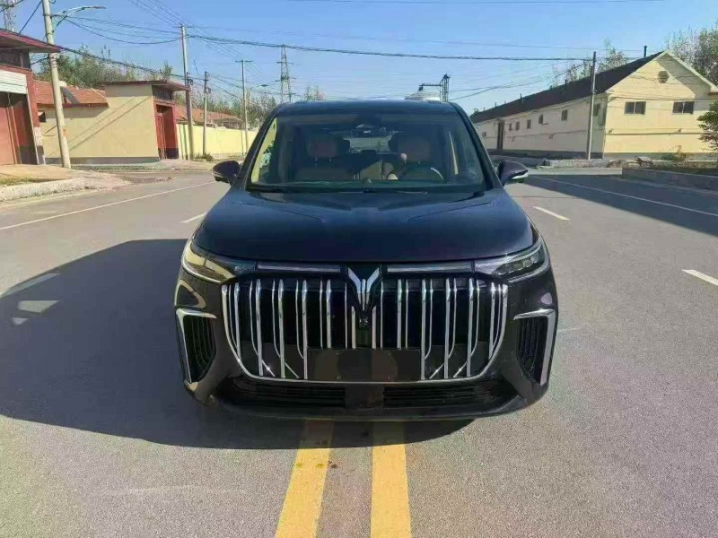 枣庄23年岚图汽车梦想家1