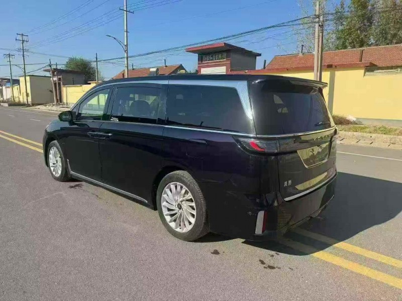 枣庄23年岚图汽车梦想家6