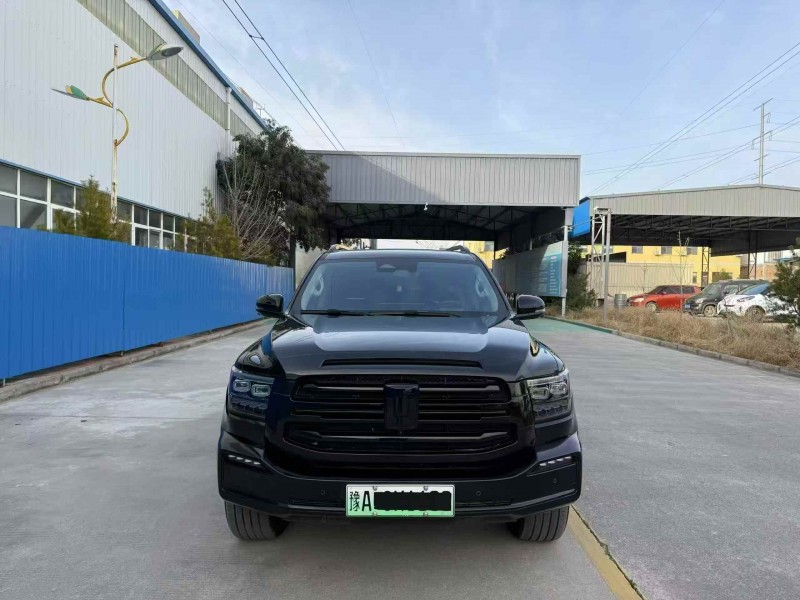 新乡25年长城汽车坦克1