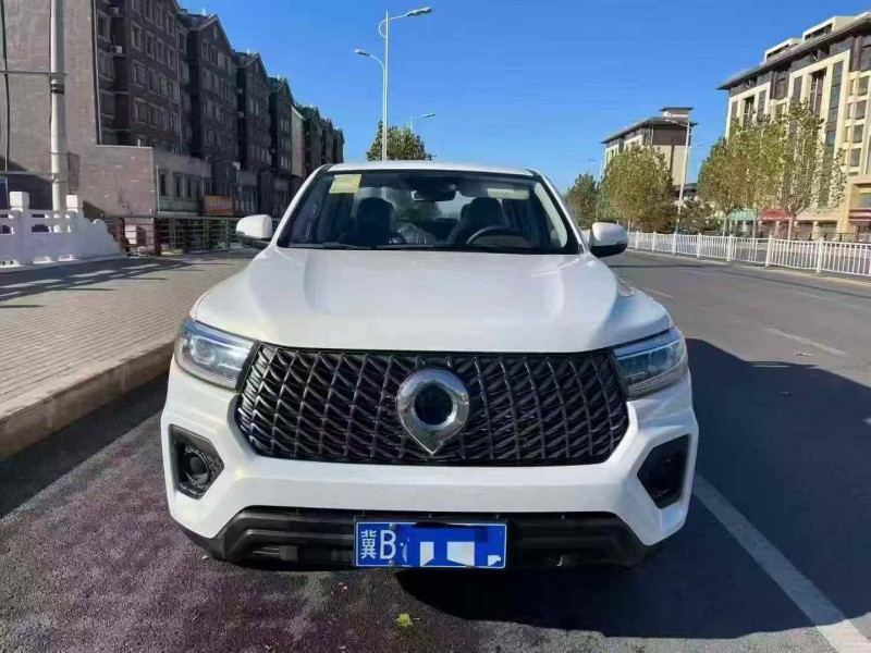 邢台25年长城汽车炮 皮卡1