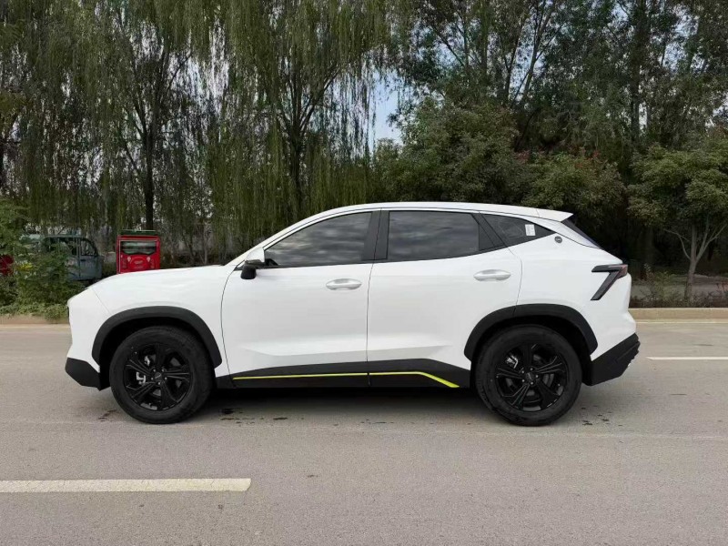 枣庄25年奇瑞捷途7